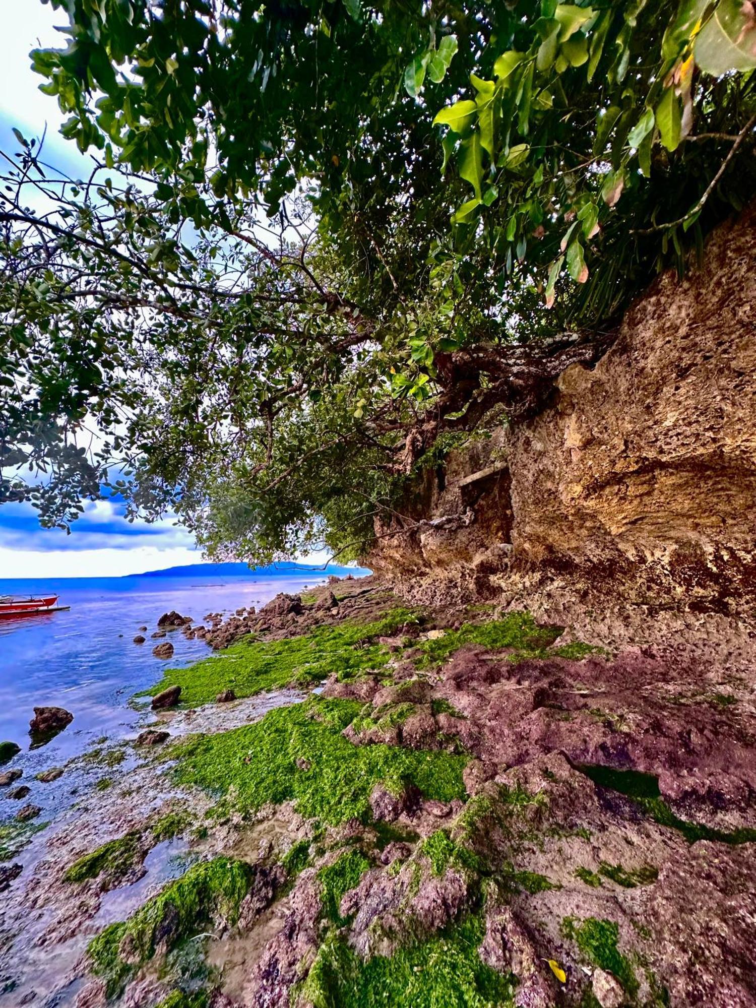 Sapphire Boutique Resort Panglao Luaran gambar